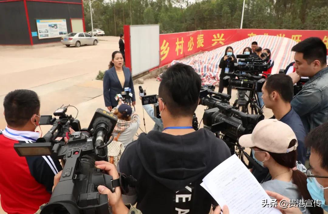 全国电视媒体走进贵港,全国百家媒体相聚巴彦淖尔