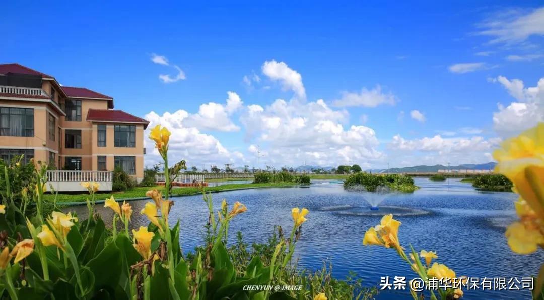 技术解谜|这道全国理综污水净化题，你对做了吗？