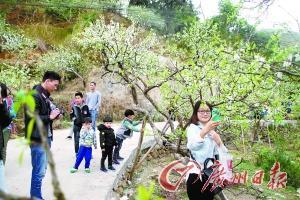 茂名市简介2019,茂名市的由来简介