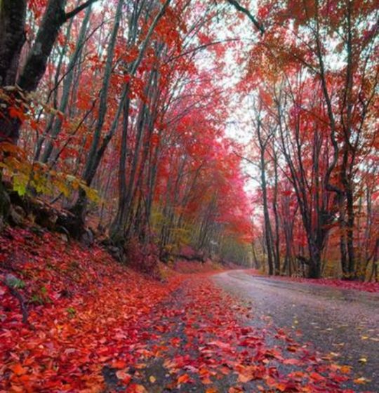 濡堝鐨勭溂鐫涘湪鍝噷,濡堝鐨勭溂闀滀笉瑙佷簡