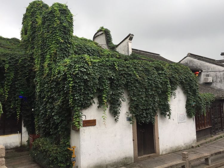 嘉兴月河古镇在哪里啊,嘉兴月河街开放时间