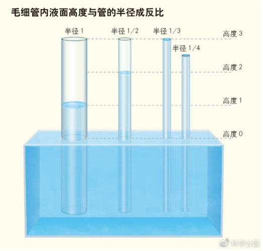 头发粘在一起是怎么回事,为什么头发会粘在一起