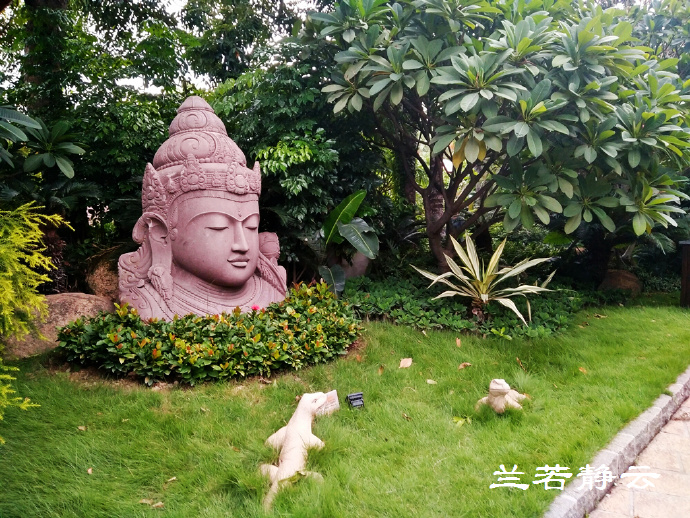 厦门日月谷温泉酒店预订价格,厦门日月谷温泉酒店套餐