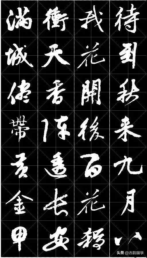 鲜花古诗,十幅书法十首唐诗沁人心脾