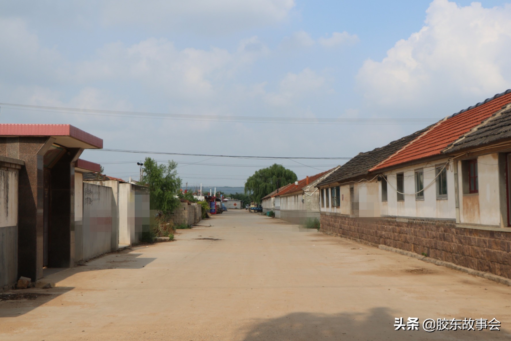 回家的轮渡,烟台大连最好的轮渡