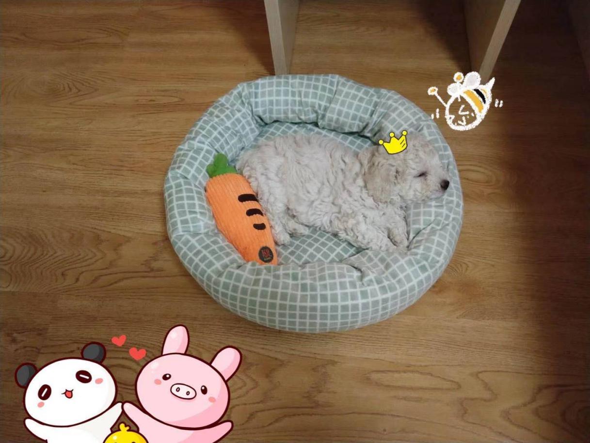 神武老玩家回忆录,神武回忆录