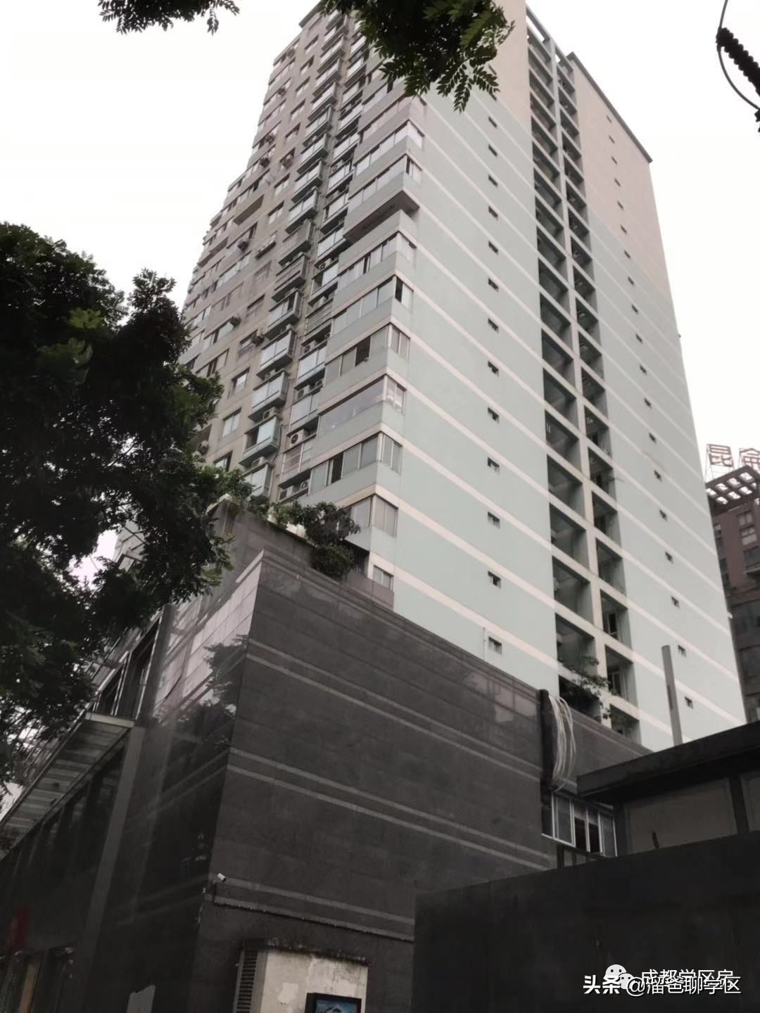 锦江四区小学推荐,锦江二片区四所小学排名