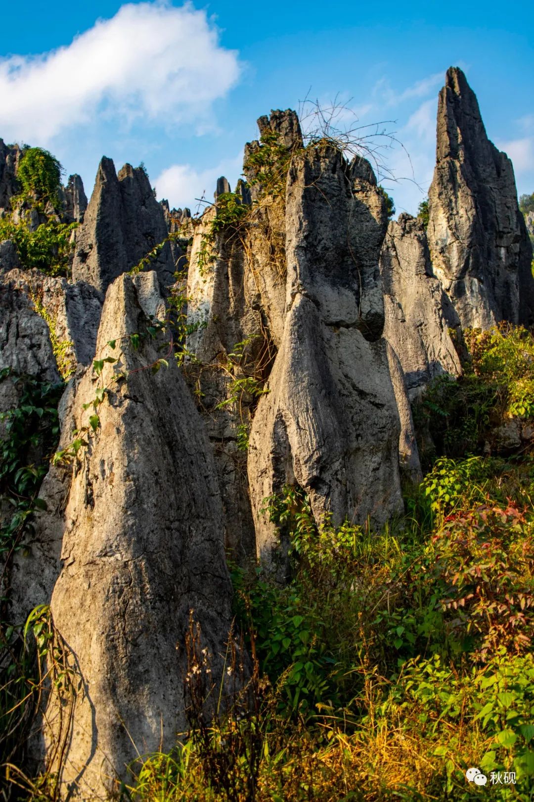 周游西南随记（六）弥蒙的万峰林