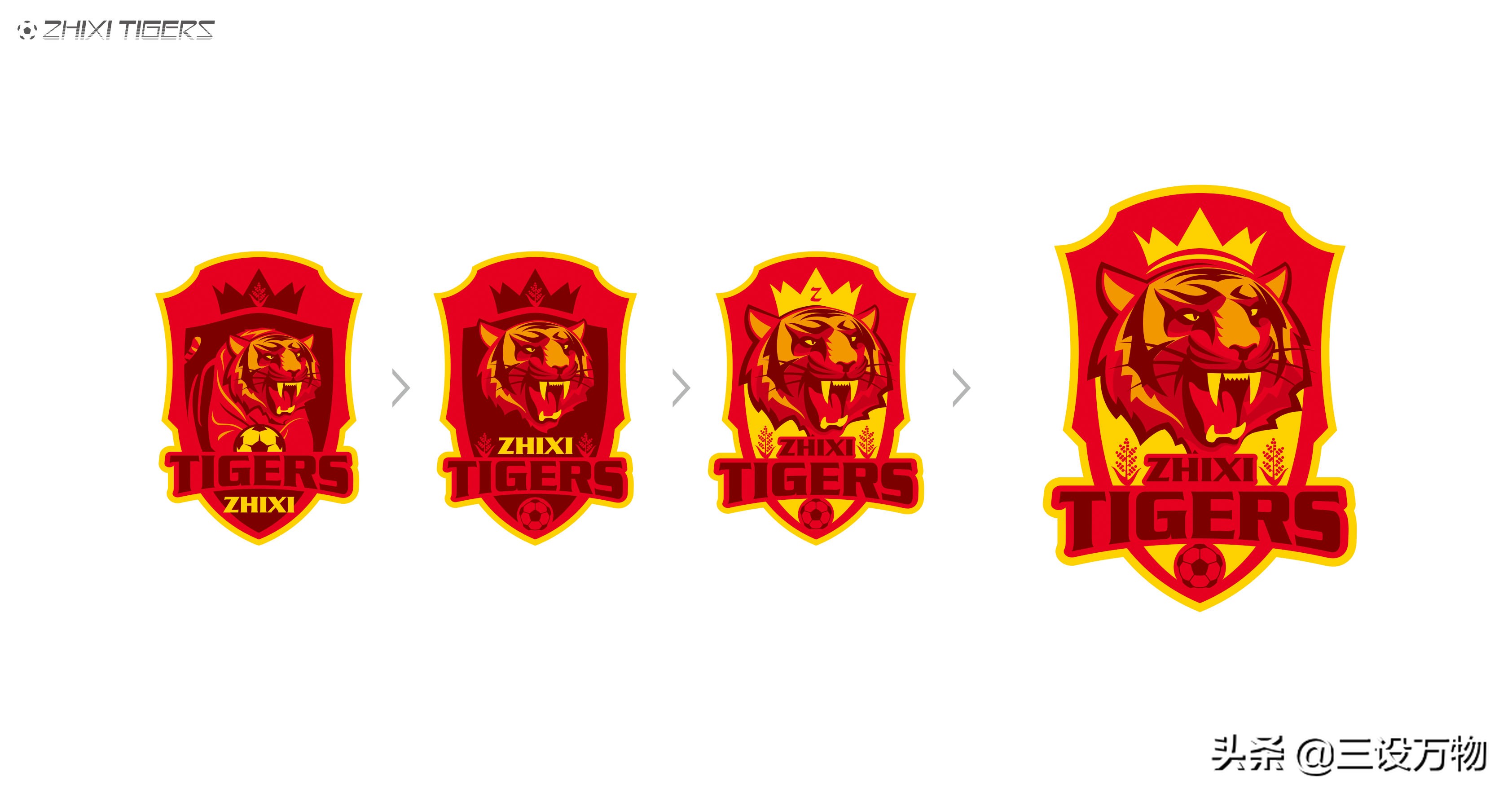三设万物|ZHIXITIGERS足球俱乐部形象设计