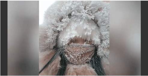 东北到底有多冷啊视频,东北到底有多冷英文