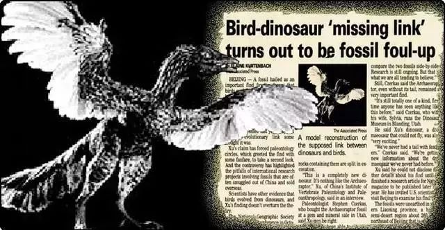 考古造假的真实事件,中国发现原始鸟化石