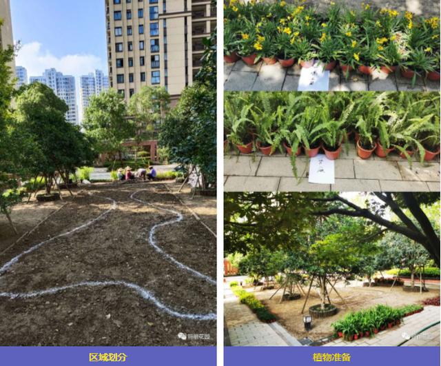 玛丽分享|香格里社区共享花园诞生记