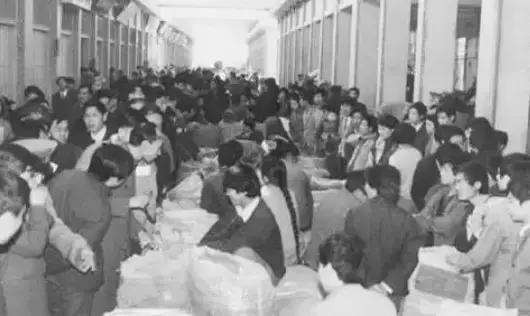 荷花池复原,荷花池变身素材