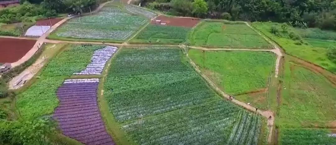 兴宁适合女性创业吗,回乡创业致富的女人