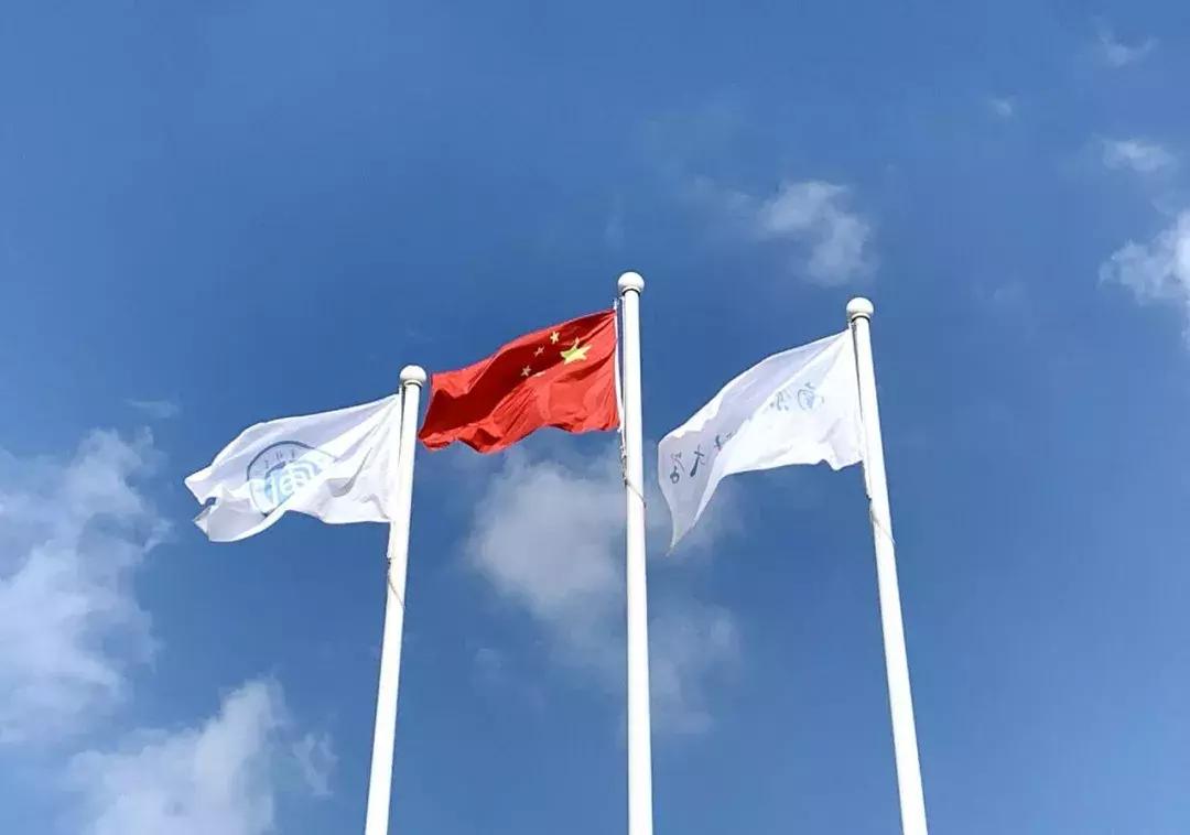 这一波爱国表白，很圈粉