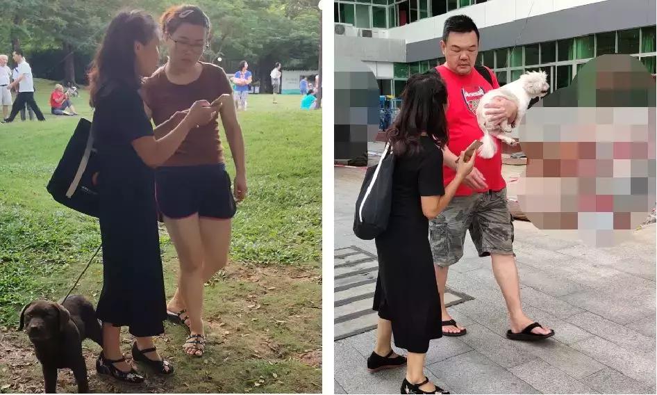 十大不建议去的宠物医院,宠物医院看病坑吗