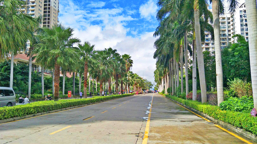 海南乐东九所镇简介地图,乐东沿海六镇哪个镇最强