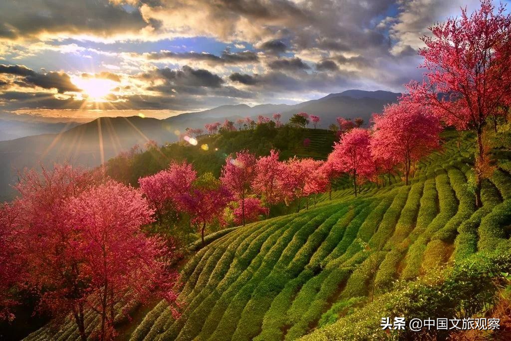 云南又在央视火了！这份云南2019新简历要藏不住了！