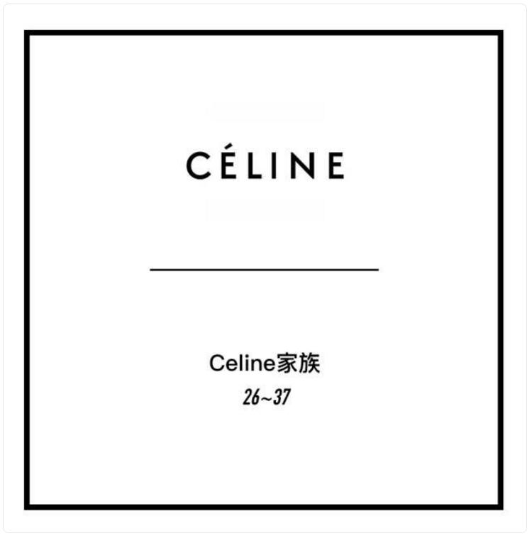 celine热门爆款包包大全,100个名牌包包