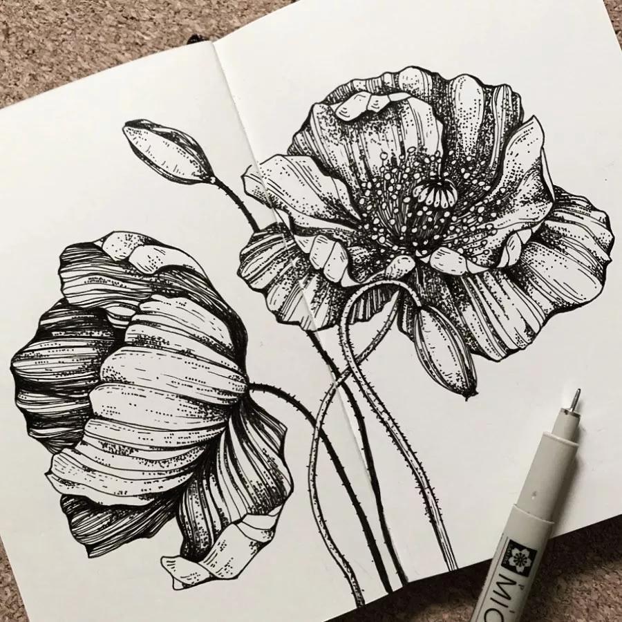 一看就懂的针管简笔画,针管笔入门手绘1000例临摹图