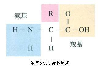 人体特异功能怎样开发呢,人体特异功能科学解释