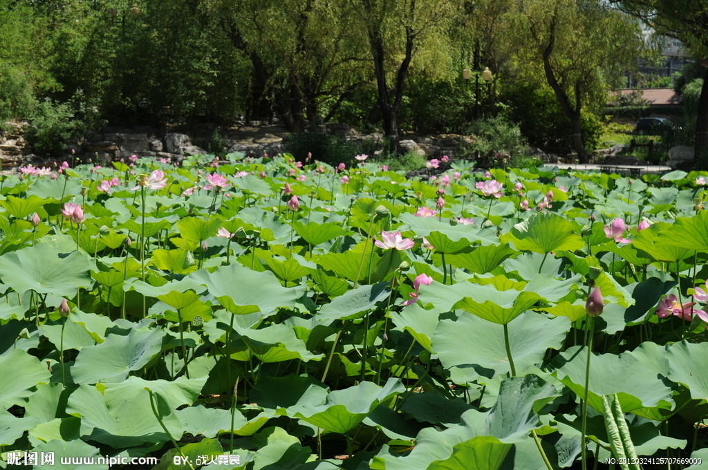 怎样排流年正确方法,如何排流年
