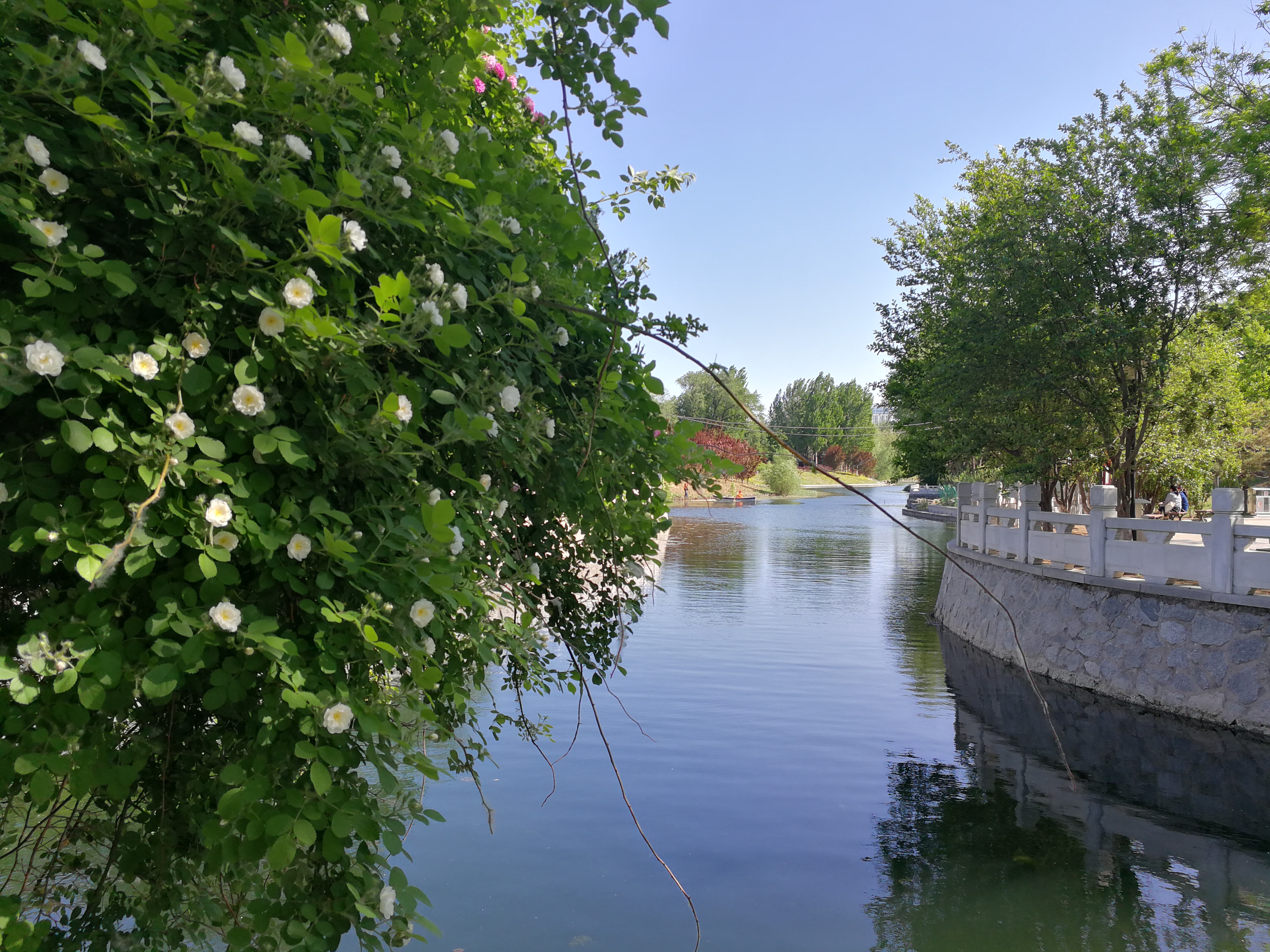 银行让我提供困难证明,银行出现失误是不是由储户承担