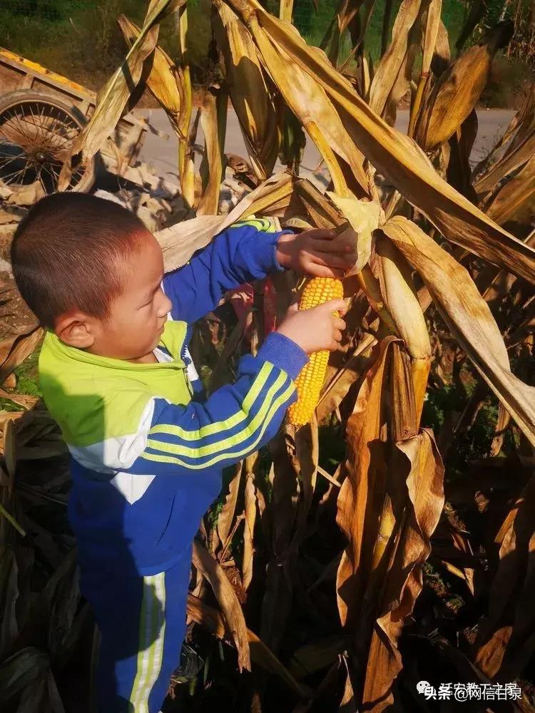 金太阳幼儿园校门,延安市甘泉谢金庄幼儿园