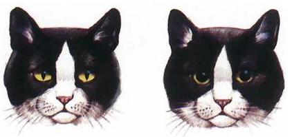 林晨mba,林晨mba完整版