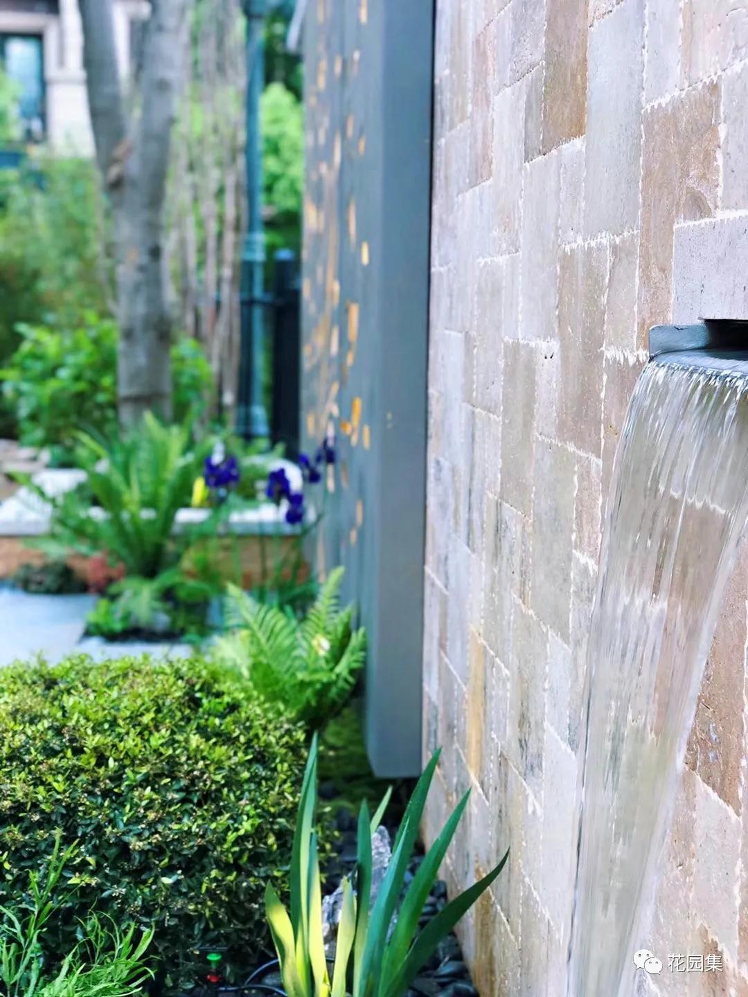 小花园最新改造,改造一个小花园真的太不容易了