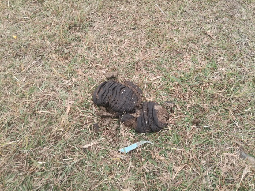 福州登云水库生态公园,福州新晋网红打卡景点在哪里