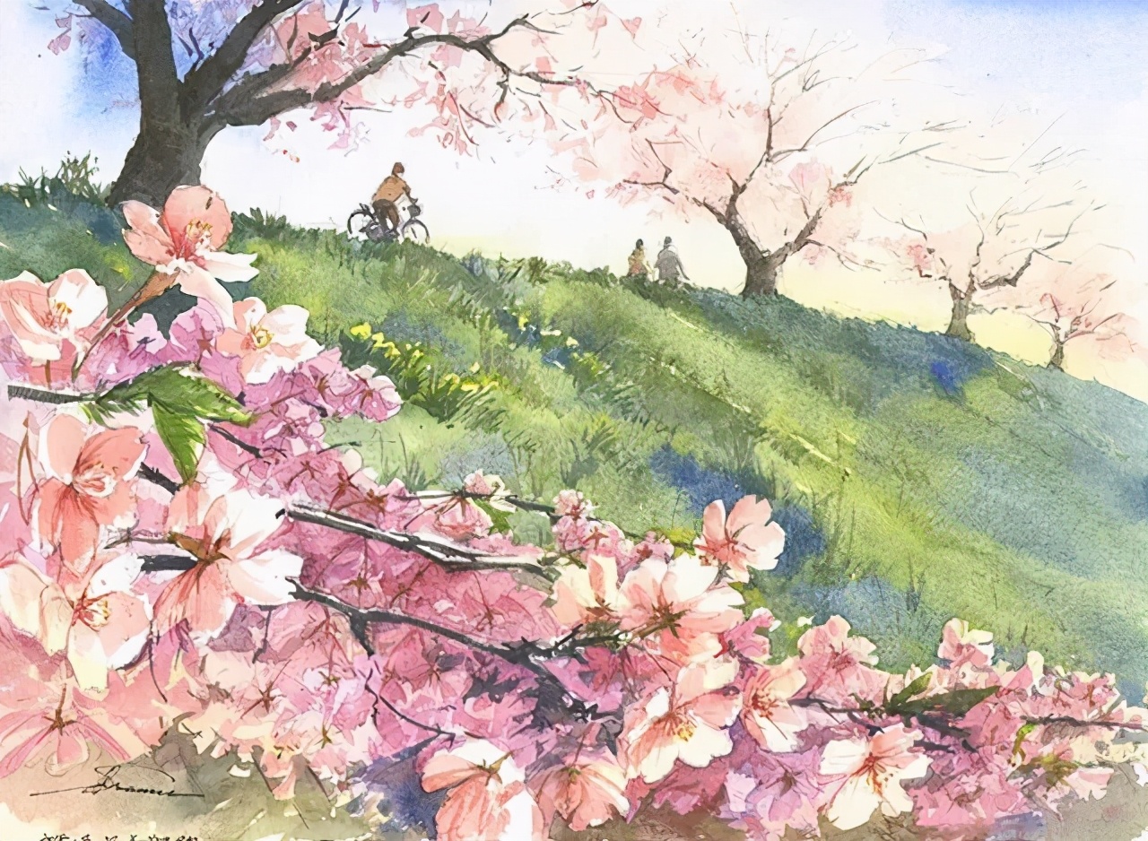 美丽的水彩樱花,水彩樱花风景画乡村田园