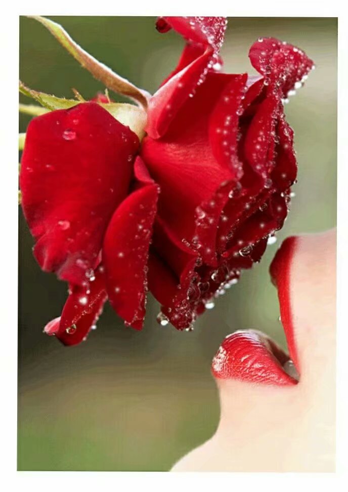 享受岁月静好浅笑安然,美文荐读让心在岁月中静好如初