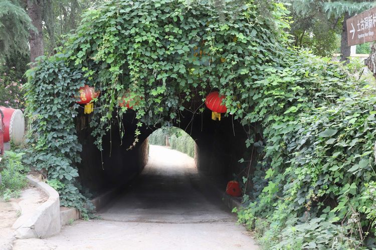 国家级传统村落千年古村,洛阳土古洞村落