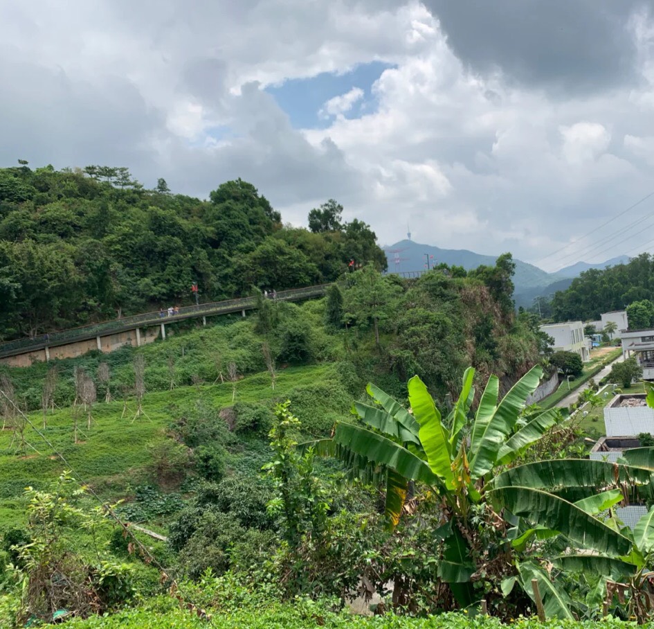 广东十大经典徒步穿越线路,广东10大徒步景点