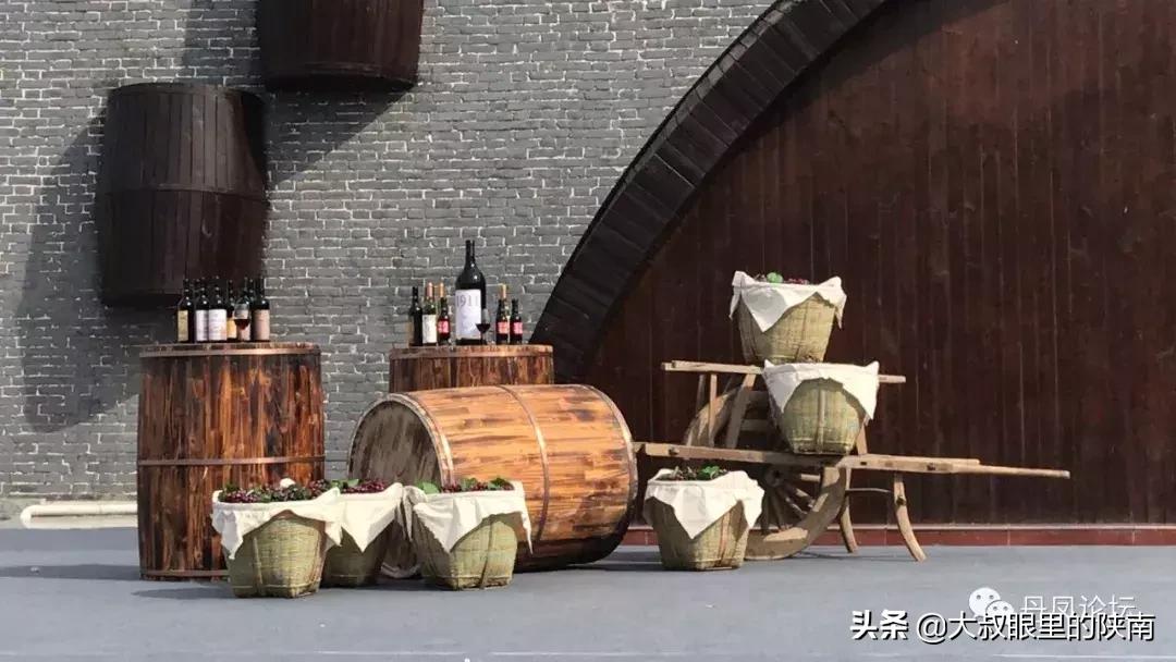 丹凤县七一建党节活动,丹凤建党