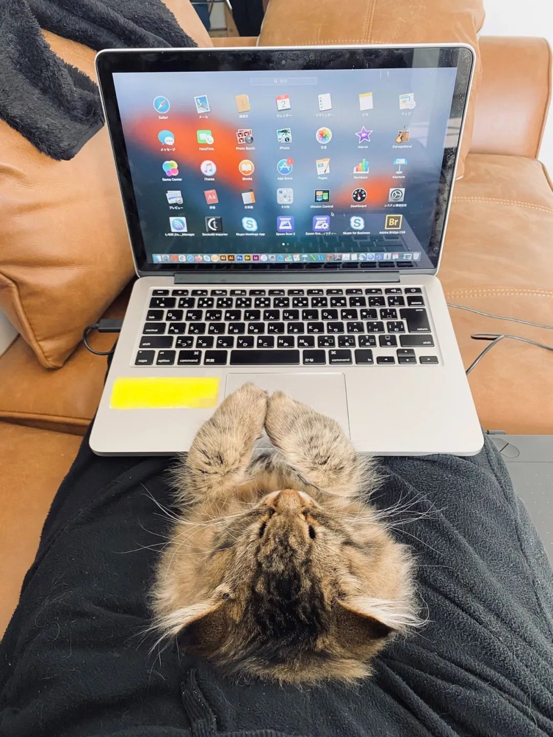 图集|这些厕所，我是不会上的