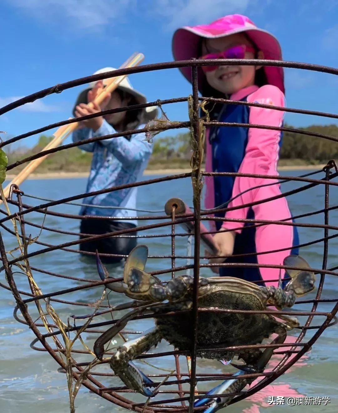 澳洲游学满载而归,澳洲亲子游学日程安排