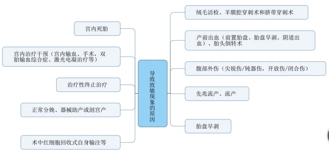 rh阴性熊猫血跟什么血型才能怀孕,rh阴性熊猫血能生几胎