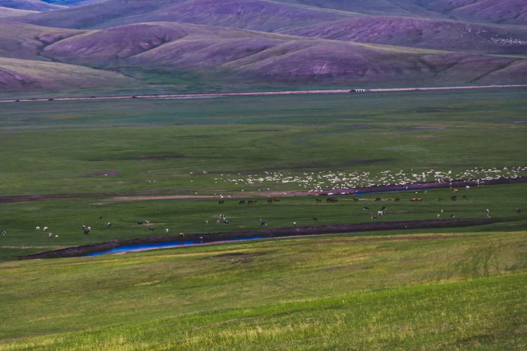 自驾三天呼伦贝尔大草原,自驾去呼伦贝尔草原七日游的攻略