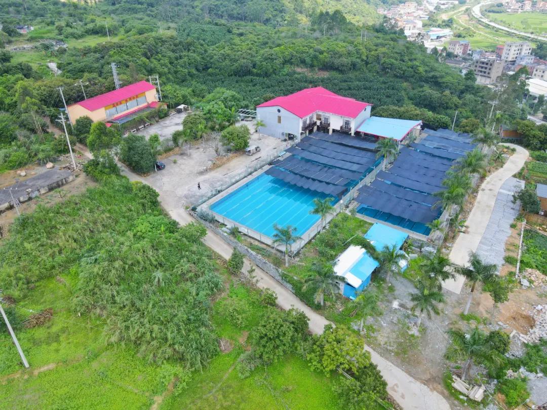 探访林溪山涧的森居之旅,长泰之旅