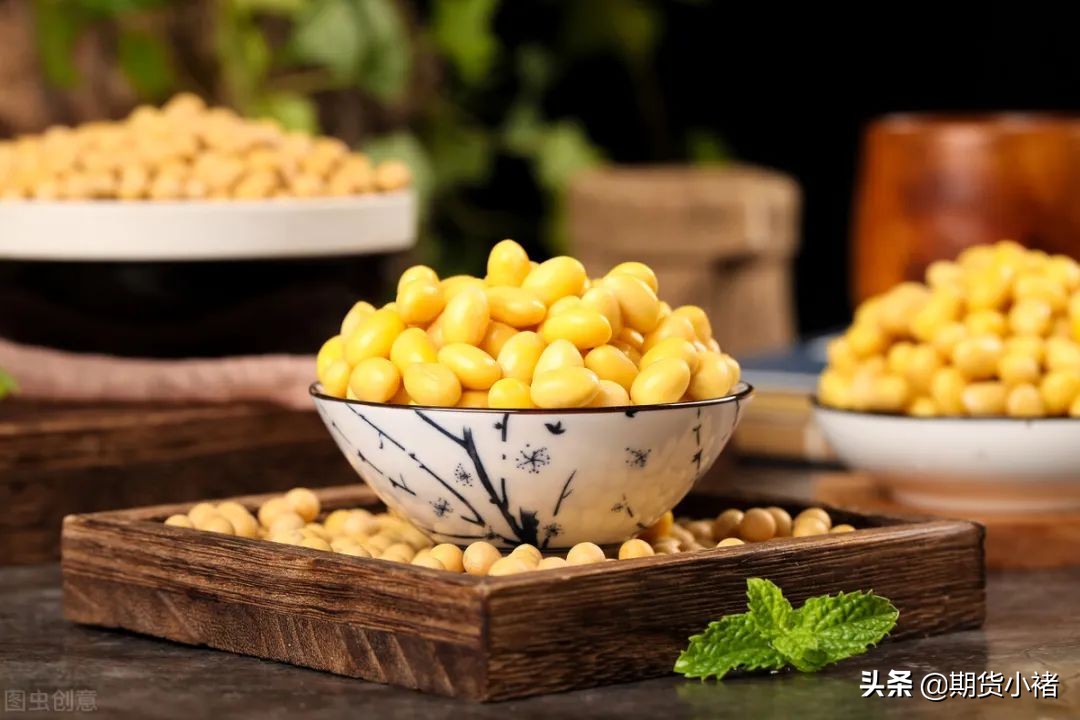 大豆期货上涨现货也能跟着涨吗,大豆期货受外盘影响