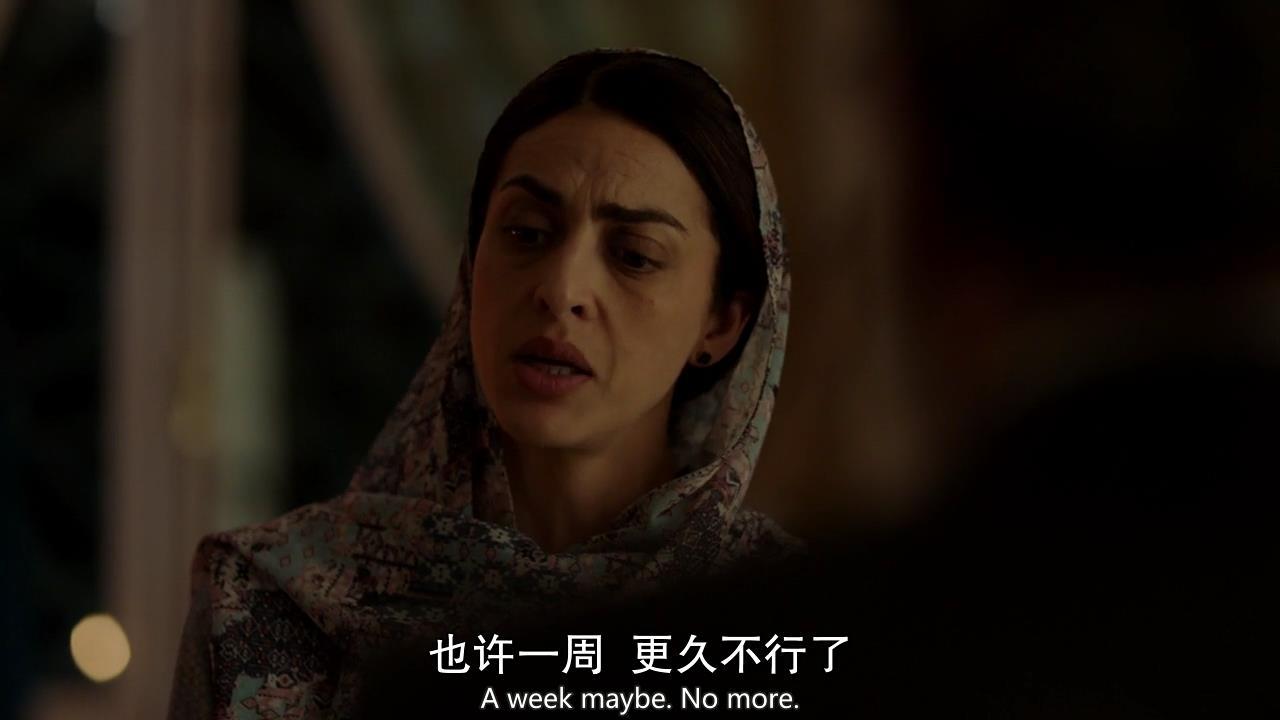 《国土安全》S8E7：枪口的方向