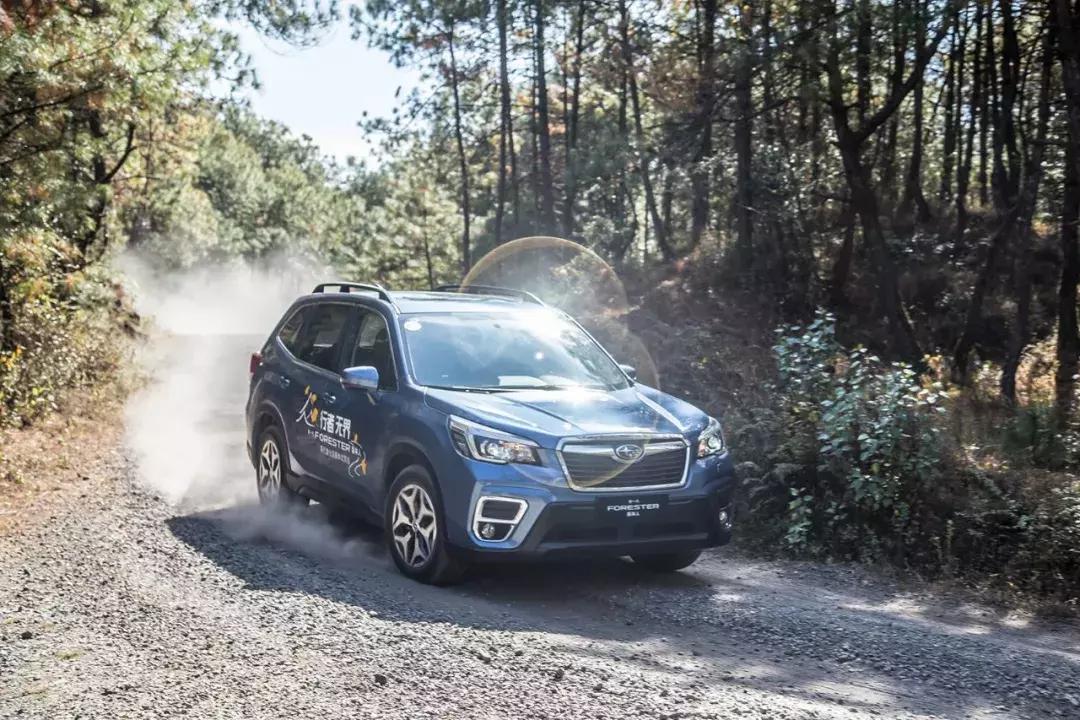 斯巴鲁森林人全时四驱不好使,全时四驱斯巴鲁森林人10款多重