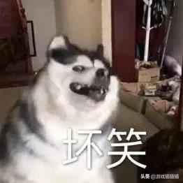 lol现在可以免费转区吗,lol转区以后返回原大区还能转区吗