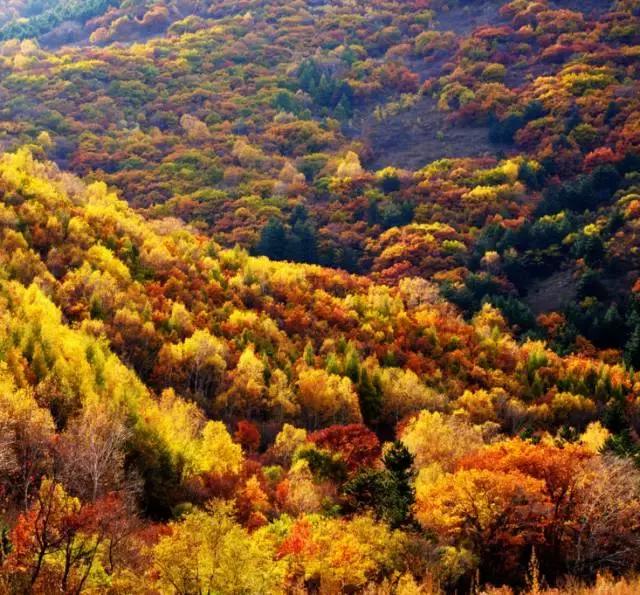 河北最牛的1个城市，承包了大半个中国的美