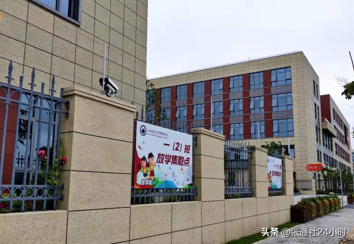 张江新建学校,上海张江新建学校2024年