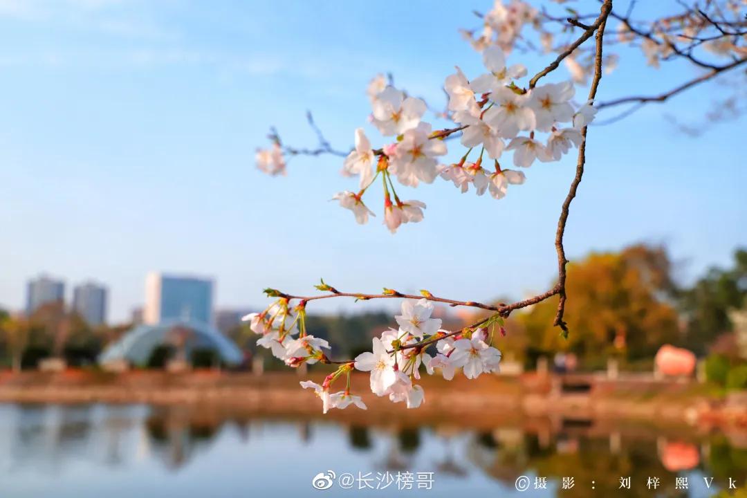 终于等到这一天！长沙酒吧、KTV、餐饮、商场，都可以去了！还有短程旅游，可以去这些地方！