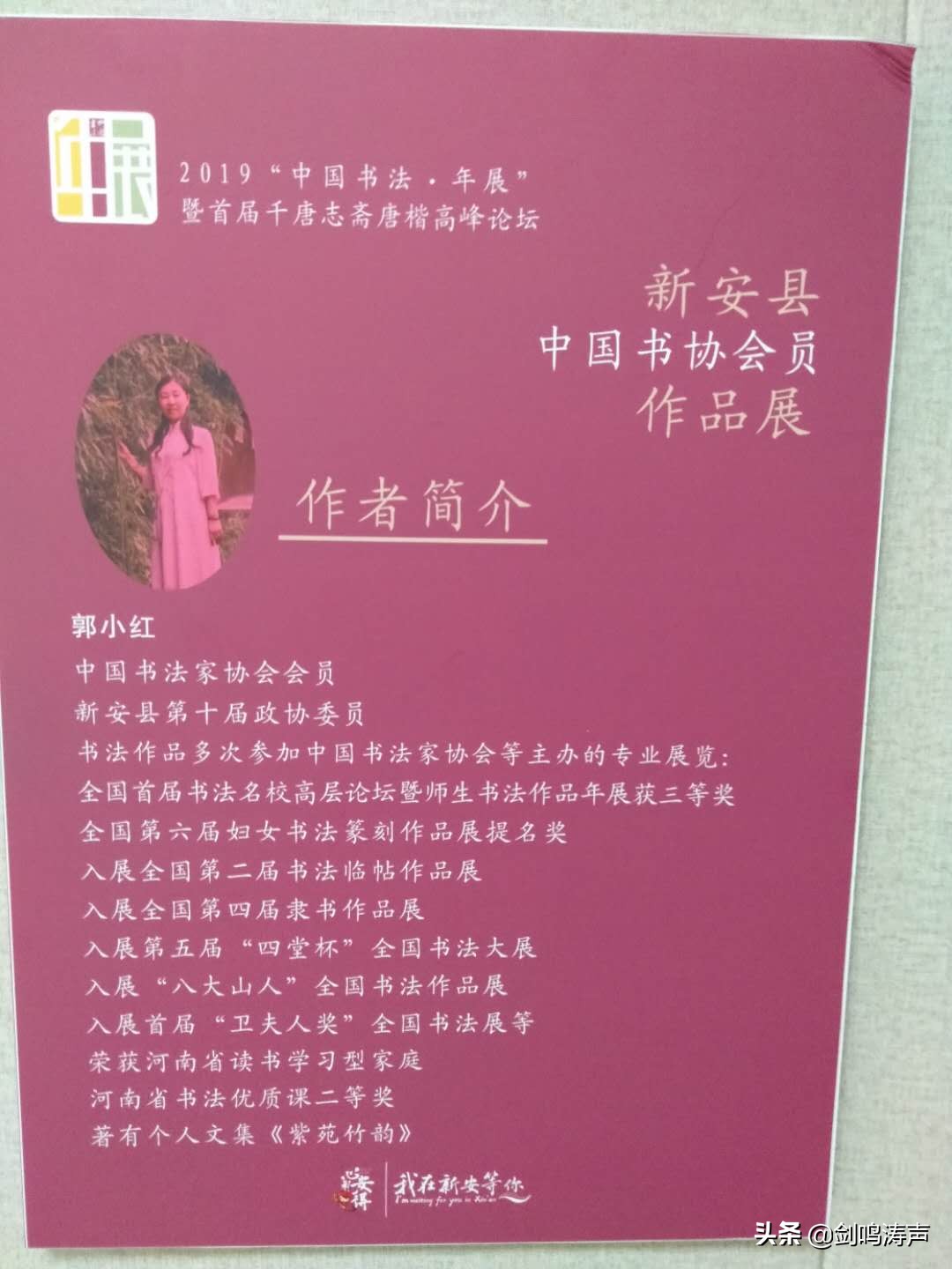 “2019中国书法•年展”之新安县中国书协会员作品展