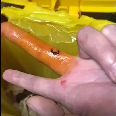 会咬鱼的观赏鱼,观赏鱼哪些不会咬人